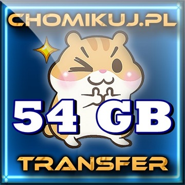 TRANSFER 54 GB BEZTERMINOWO NA CHOMIKUJ