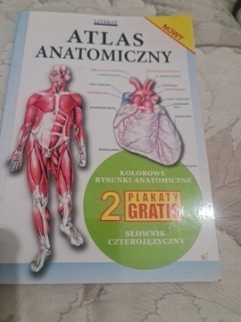 Atlas anatomiczny