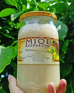 Miód rzepakowy - 1KG pasieka Gucio Nowe Brzesko 