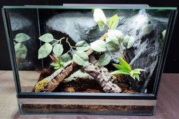 Terrarium dla pająka owadów 40x30x30