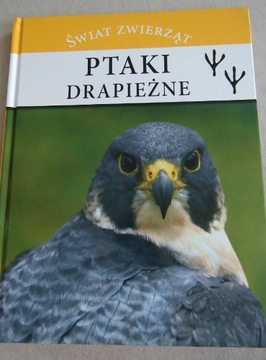 Ptaki drapieżne 