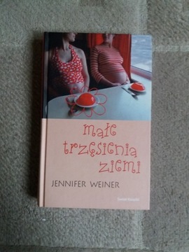 MAŁE TRZĘSIENIE ZIEMI  JENNIFER WEINER