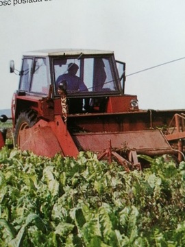 Zalecenia firmy BASF dla uprawy buraka 1985r.