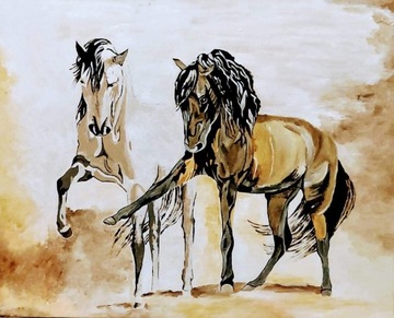 Obraz akrylowy Konie