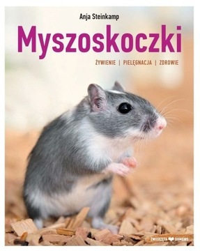 Myszoskoczki żywienie, pielęgnacja, zdrowie