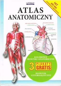 Atlas anatomiczny