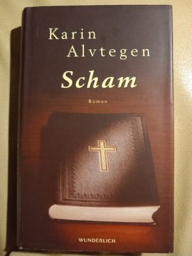 Karin Alvtegen, Scham