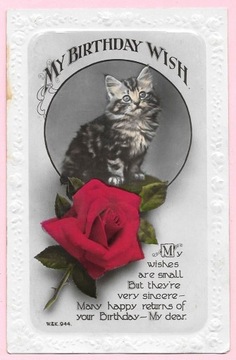Kot i róża na urodzinowej pocztówce ...