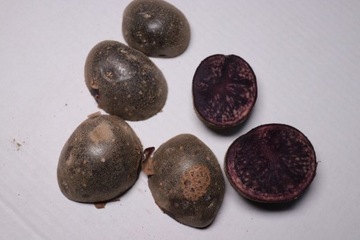 Fioletowe ziemniaki sadzeniaki 