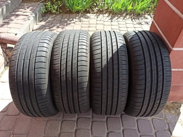 Goodyear Efficientgrip Performance 205/55 R16 91 V