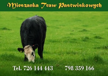 Mieszanki Traw Pastwiskowych