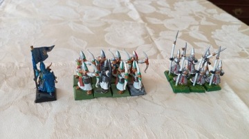 Warhammer fantasy High Elves infantry