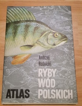 Ryby wód polskich