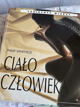 Ciało człowieka