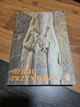 Dzieje przymierza. Biblia dla młodzieży