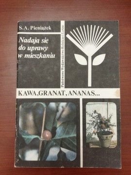 Kawa, granat, ananas... Pieniążek