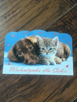 Pocztówka obrazek cute słodki pies dog kot