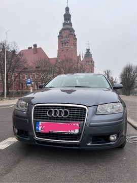 Audi A3 / 8P / 1.9 TDI / 2006 / 5drzwiowy