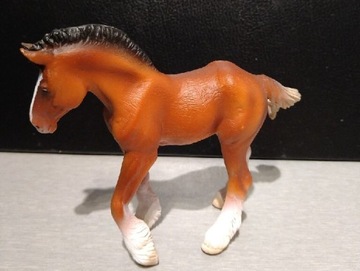 Clydesdale foal Collecta. Koń źrebak.