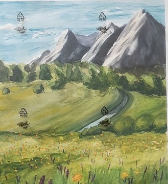 Obraz (góry, łąka, pejzaż, natura) + antyrama