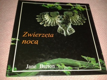 Zwierzęta nocą Jane Burton książka