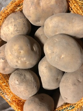 Ziemniaki Jadalne Vineta Tajfun