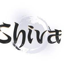 Kupimy Yang Shiva International Metin2 