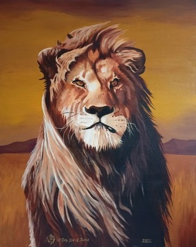 Obraz olejny Lwa z Judy (safari) - duży format!