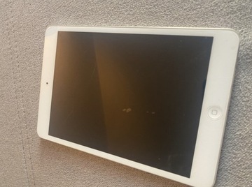 iPad mini 2 