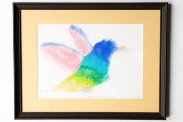 Rysunek koliber kolorowy