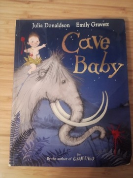The cave baby Julia Donaldson 