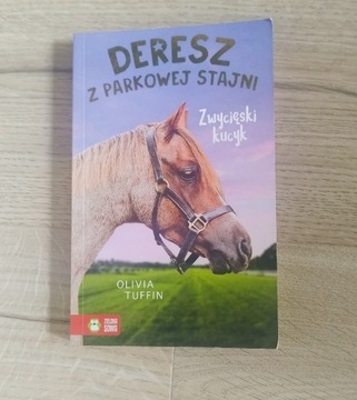 Zwycięski kucyk tom Deresz z parkowej stajni 