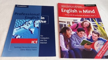 PROFESSIONAL ENGLISH IN USE. ICT.