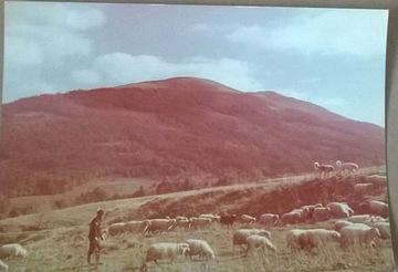 Bieszczady Stara Kartka Pocztowa 1969 rok