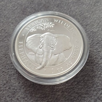 Somalia 2021 Słoń somalijski 1oz