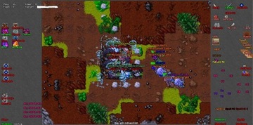 TIBIA ELF FULL AFK, WRACA NA EXP, KUPUJE POTKI ITP