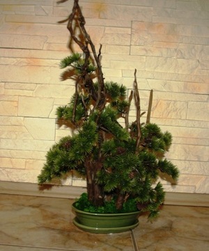 Drzewko sztuczne bonsai - las