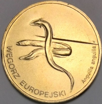 2 złote, 2003r. Węgorz europejski (033)