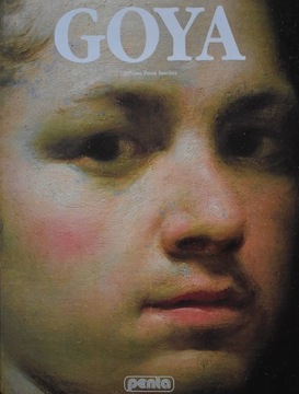 Goya Antonio Perez Sanchez Książka Zbiór Obrazów