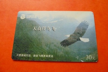 Chiny China Railcom Ptak Orzeł Fauna Chip