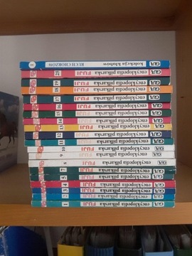 Encyklopedia Piłkarska Fuji