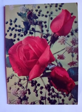 Dwie pocztówki z różami, lata 70-e.