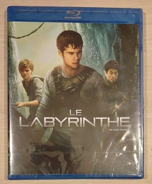 Więzień labiryntu - Blu-Ray - PL