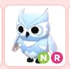 Neon Ride Snow Owl - Adopt Me | Roblox