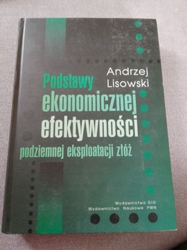 Lisowski A., Podstawy ekonomicznej efektywności...