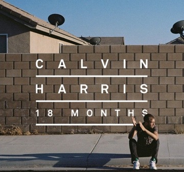 18 Months Calvin Harris. Winyl