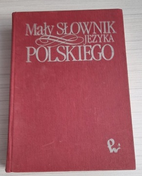 Mały Szkolny słownik polskiego liceum matura