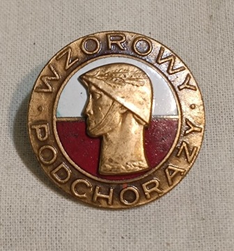 Brązowa odznaka wzorowy podchorąży wz.1973