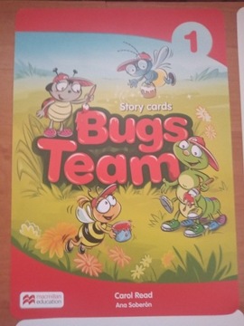 story cards Bugs Team 1