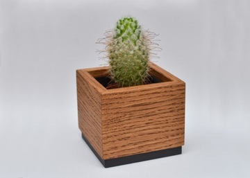 Mini doniczka drewniana Orzech - kaktus / sukulent